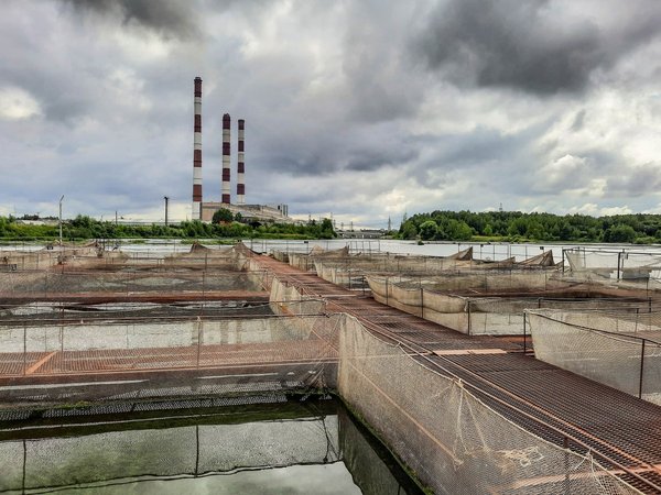 Новая точка на карте: Сидоровское близ Костромы - фото 4