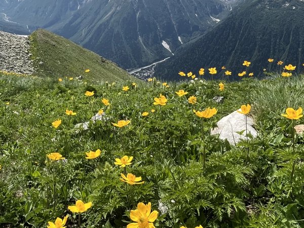 Конная прогулка в Джамагатском ущелье - фото 4