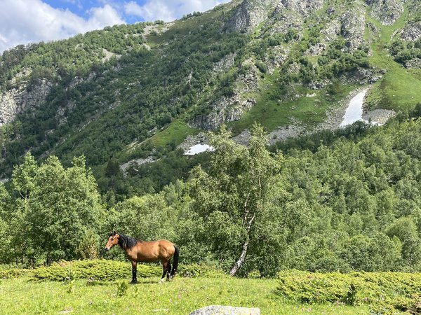 Конная прогулка в Джамагатском ущелье - фото 1