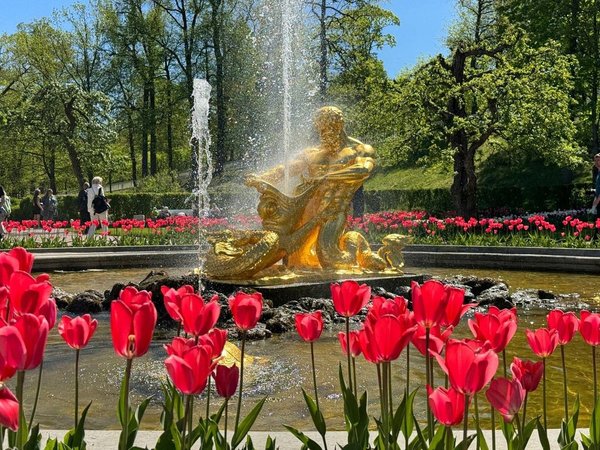 Из Санкт-Петербурга — в царство фонтанов Петергофа (с возвращением на метеоре) - фото 3