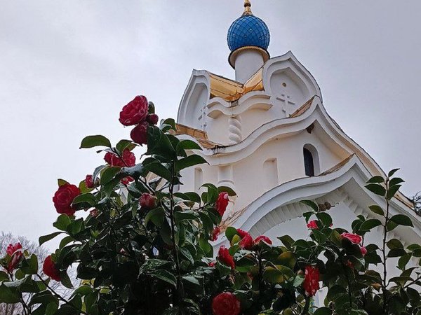 Православный Сочи из Адлера - фото 3