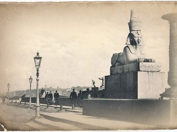 Фантастические твари и где они обитают в Санкт-Петербурге - фото 2