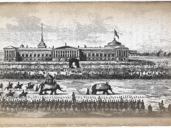 Фантастические твари и где они обитают в Санкт-Петербурге - фото 4