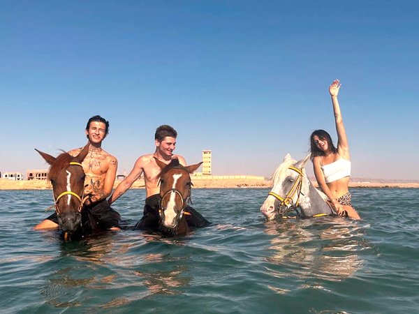 В Красном море верхом на лошади - фото 1