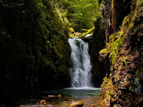 Природа Сочи: тайны водопадов и чайных плантаций - фото 1