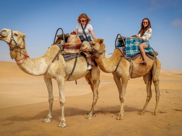 В Каир и к пирамидам Гизы из Шарм-эль-Шейха - фото 2