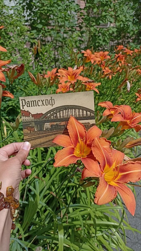 Следующая станция — Ратсхоф