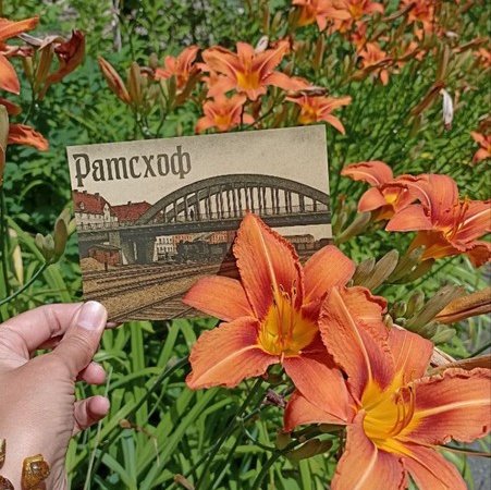 Следующая станция — Ратсхоф