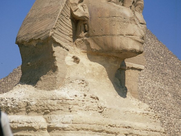 В Каир из Шарм-эль-Шейха: пирамиды Гизы, Сфинкс и Большой Египетский музей - фото 2