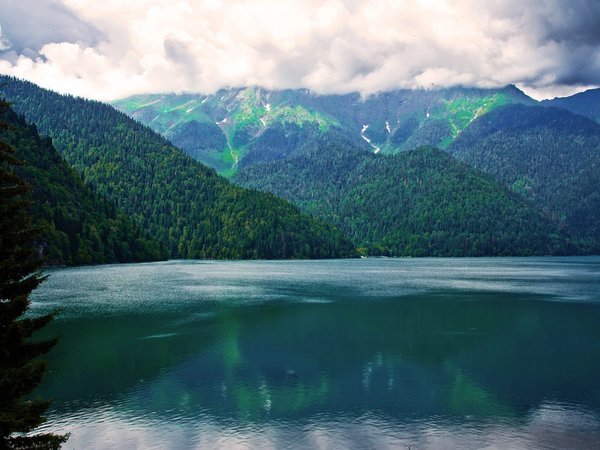 В солнечную Абхазию на минивэне: Гагра, Рица и Пицунда! - фото 3