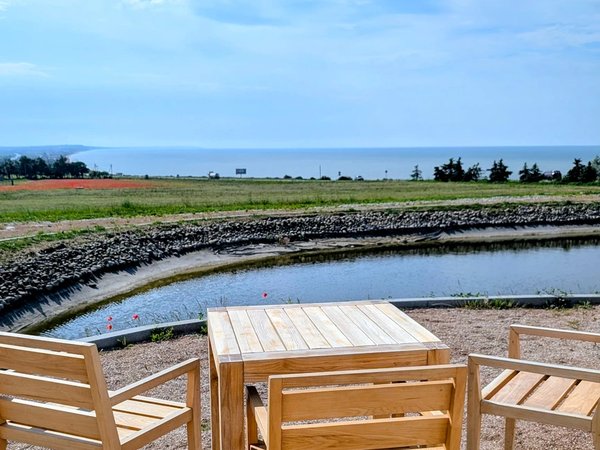 Азовское море и «Поместье Голубицкое»: открыть русскую Шампань - фото 1