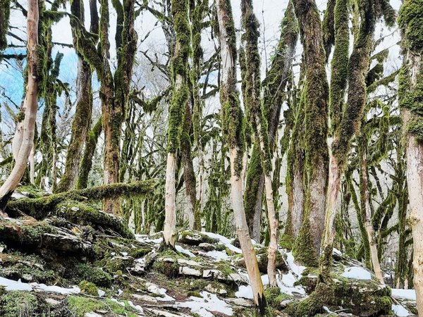 Необыкновенные окрестности Красной Поляны: дольмены, каньоны, водопады - фото 2