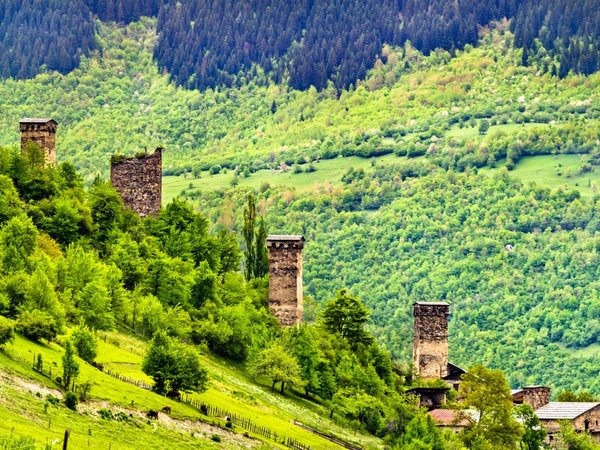 2 разные Сванетии — Нижняя и Верхняя: индивидуальная поездка из Кутаиси в горы - фото 4