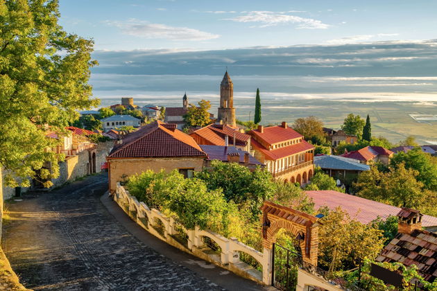 Фото экскурсии - Винное путешествие по Кахетии с посещением Сигнахи, монастыря Бодбе и Телави - 13