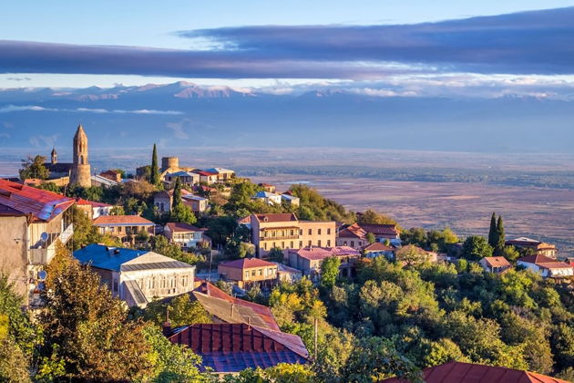 Фото экскурсии - Винное путешествие по Кахетии с посещением Сигнахи, монастыря Бодбе и Телави - 14