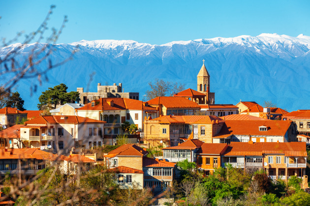 Фото - экскурсия: Винный тур по Кахетии: Алазанская долина, Сигнахи и монастырь Бодбе