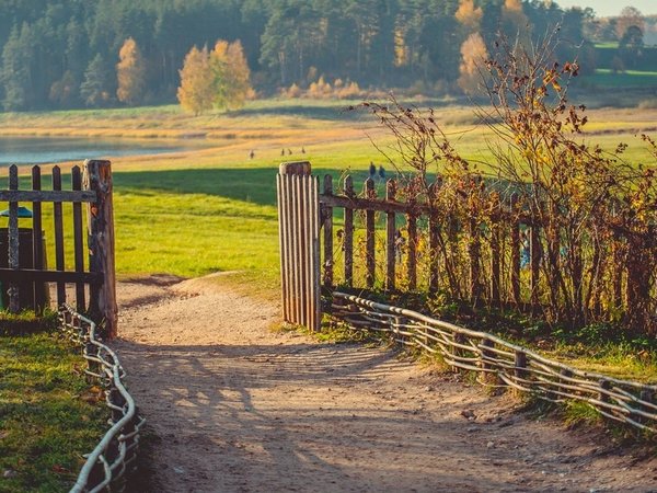Путешествие в Пушкинские Горы: усадьбы Михайловское и Тригорское - фото 1