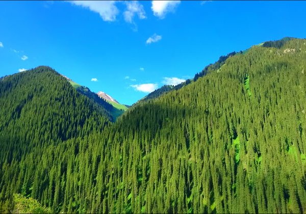 Тур в горные ущелья Иссык-Куля - фото 2