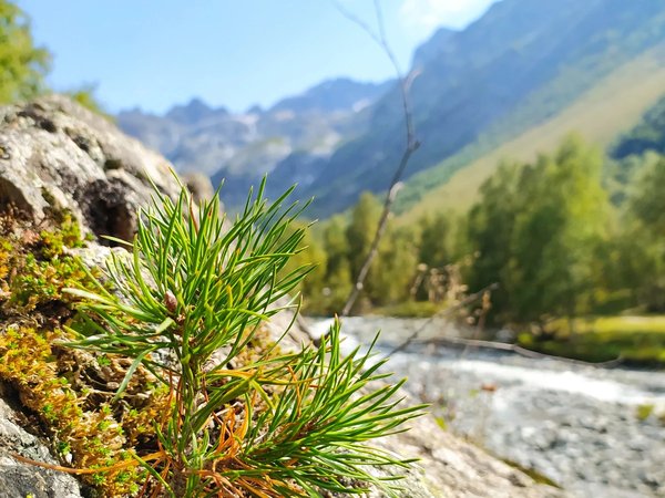Из Кисловодска — в горный поселок Архыз! - фото 3