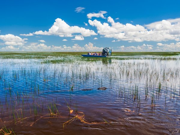 Сафари с аллигаторами в нацпарке «Эверглейдс» - фото 2
