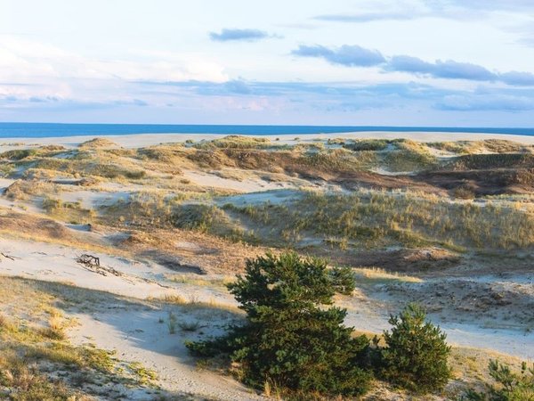Путешествие на Куршскую косу через Зеленоградск - фото 2