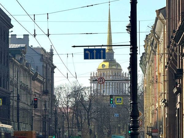 Парадный Петербург: обзорная экскурсия на микроавтобусе - фото 4