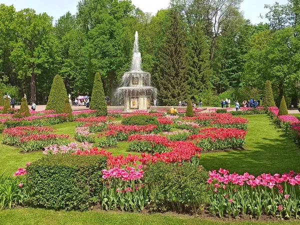 К фонтанам Петергофа — с ветерком на метеоре - фото 2