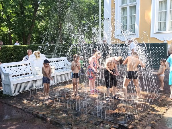 К фонтанам Петергофа — с ветерком на метеоре - фото 4