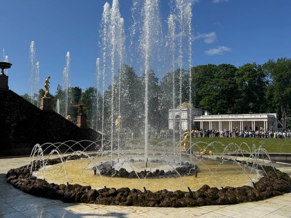 Из Санкт-Петербурга в Нижний парк Петергофа (на метеоре) - фото 3