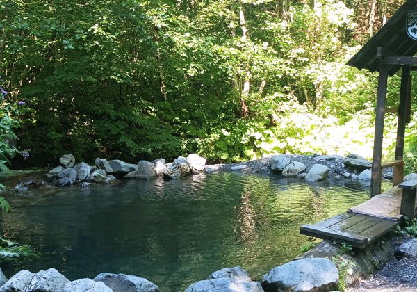 Освежающая перезагрузка: купание в горных купелях Красной Поляны - фото 1