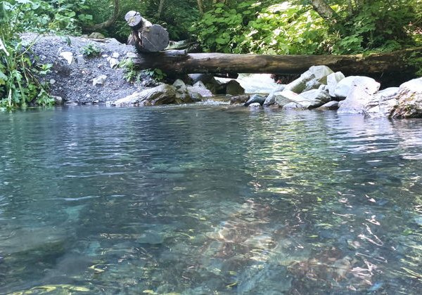 Освежающая перезагрузка: купание в горных купелях Красной Поляны - фото 2