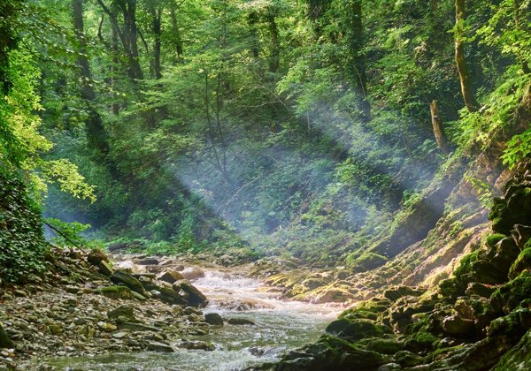 Освежающая перезагрузка: купание в горных купелях Красной Поляны