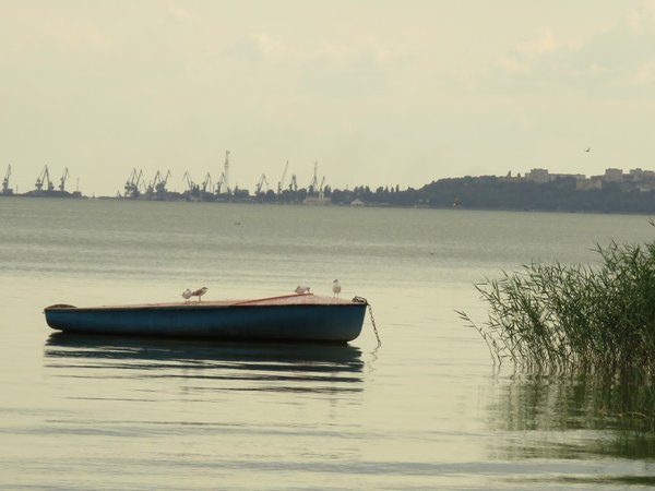 Вдоль дельты Дона — к побережью Азовского моря и Таганрогу - фото 2