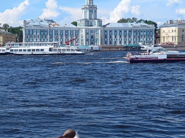 Визитные карточки города на Неве - фото 4