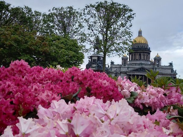Визитные карточки города на Неве - фото 2