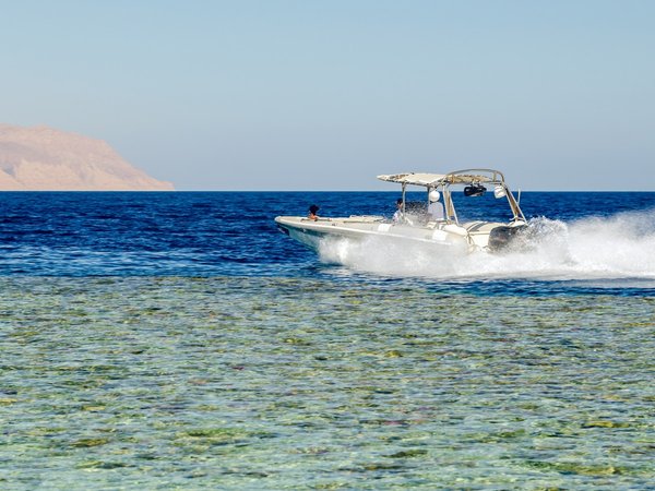 Индивидуальная прогулка на катере в Красном море