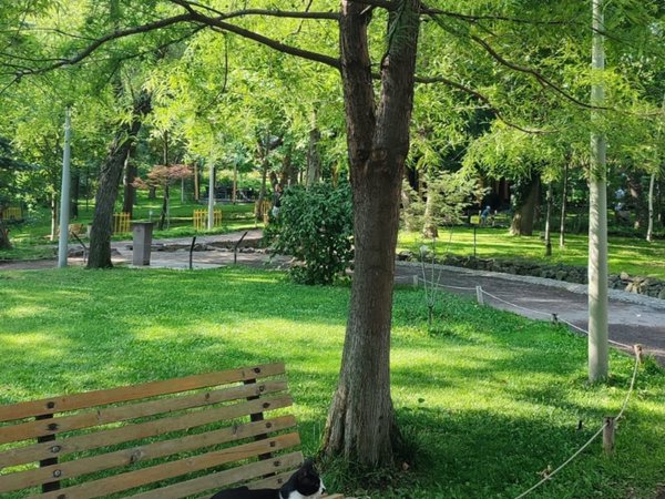 Экскурсия-перезагрузка по Парку Влюблённых в Ереване - фото 3