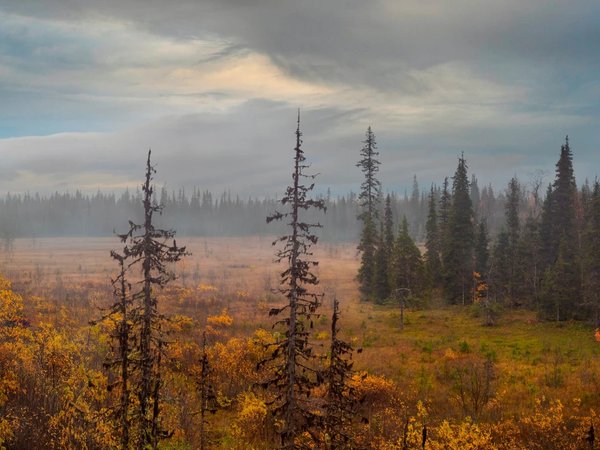 Фотопоездка к заповедному водопаду Кольского Севера (всё включено) - фото 3