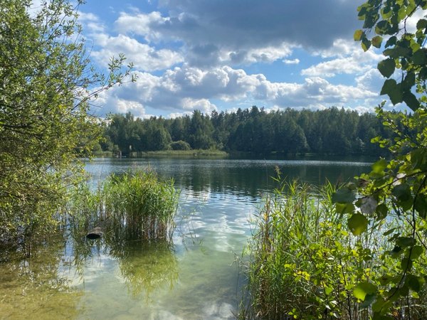 Наукоград Черноголовка: гуляем и фотографируем - фото 2