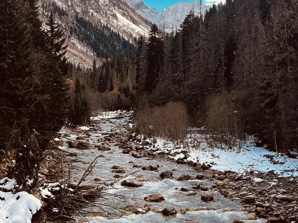 На джипах в Домбай — из Кисловодска - фото 2