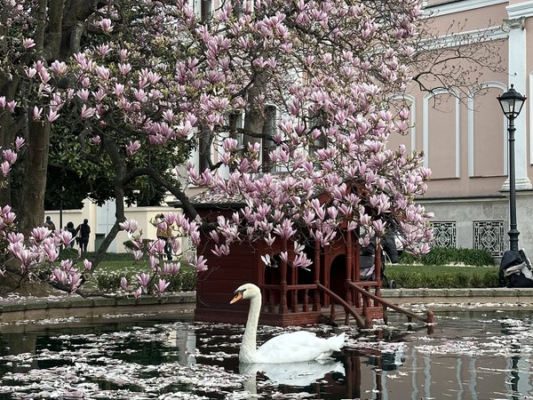 Дружеская прогулка по нетуристическому Стамбулу - фото 2