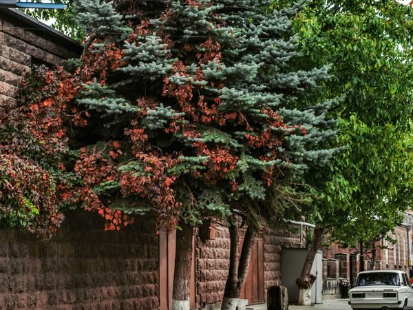 Гюмри — северная столица Армении - фото 3