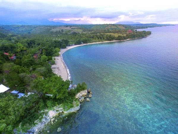 Сумбава: снорклинг с китовыми акулами - фото 3