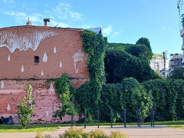 Затерянный мир Нижнего Новгорода - фото 4