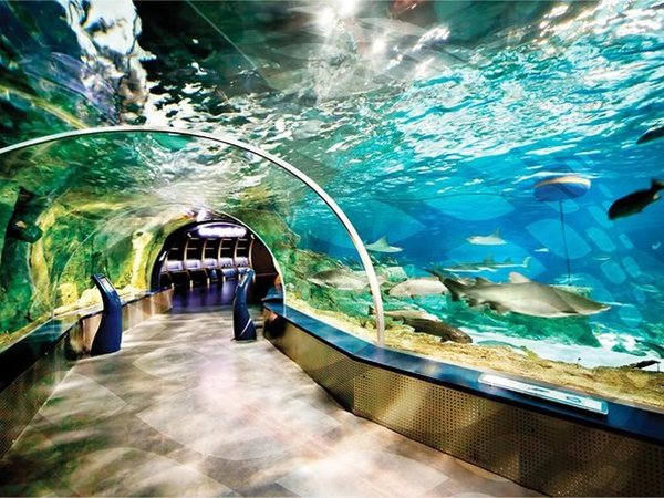Стамбульский аквариум и отдых у моря в Aqua Florya - фото 3