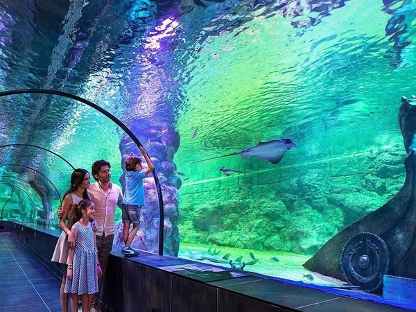 Стамбульский аквариум и отдых у моря в Aqua Florya