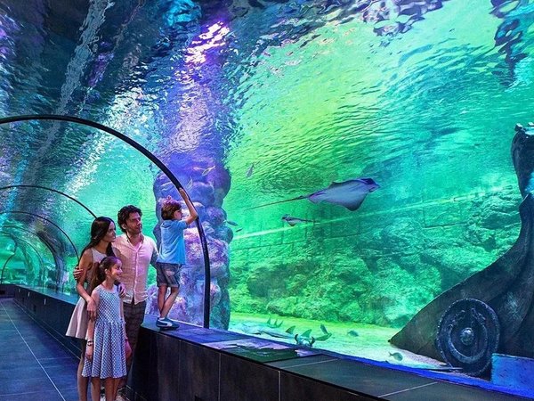 Стамбульский аквариум и отдых у моря в Aqua Florya - фото 1
