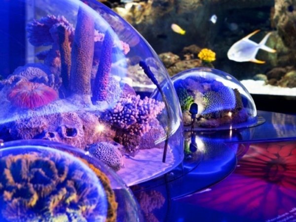 Стамбульский аквариум и отдых у моря в Aqua Florya - фото 2