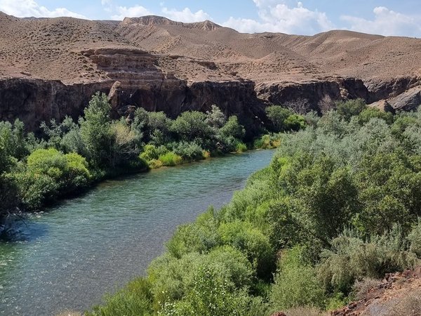 Чарынский, Лунный и Чёрный каньоны: Дикий Запад в Казахстане - фото 4