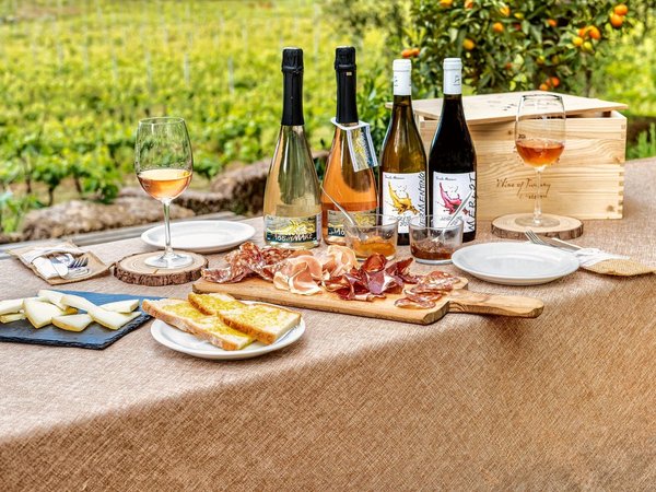 Пиза и вкусы Тосканы: дегустация на винодельне у озера Массачукколи - фото 1